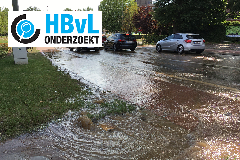 Begin augustus stond de  Ringlaan in Lummen nog onder water door een waterlek. 