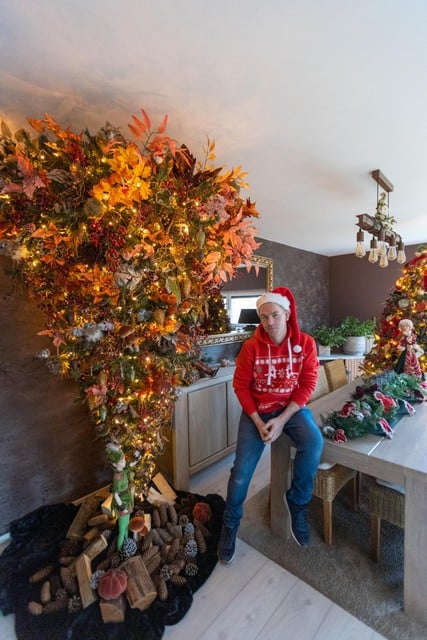 Marc De Swert uit Beringen organiseert kerstshows in zijn appartement waar je zijn omgekeerde boom in herfsttooi kan bewonderen.