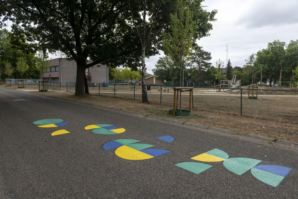 In de omgeving van basisscholen in Genk zijn felle kleuren op de rijweg geschilderd om automobilisten er op te wijzen dat ze in een zone 30 rijden. 