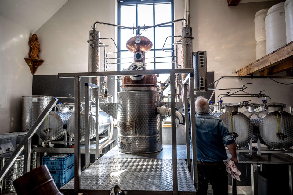 In het bucolische Vechmaal kan je een tussenstop houden bij Fundus Fructus, een van de zeldzame distilleerderijen in ons land waar ‘eau de vies’ worden gemaakt met fruit van het eigen bedrijf.