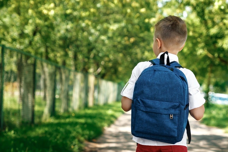 Kinderrijmpjes Canada Burger Niet te groot en zonder wieltjes: hoe kies je een goede boekentas voor je  kind? | Het Belang van Limburg Mobile