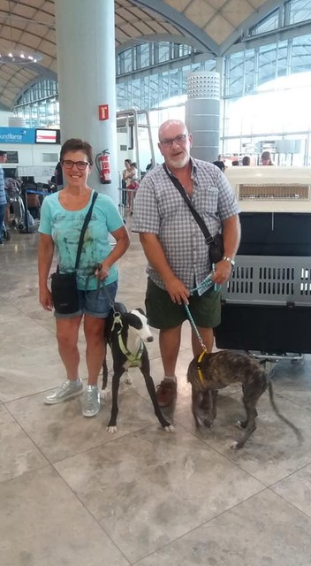 Eddy en Carine, met verwaarloosde honden die ze in Spanje gingen halen voor All4dogs. 