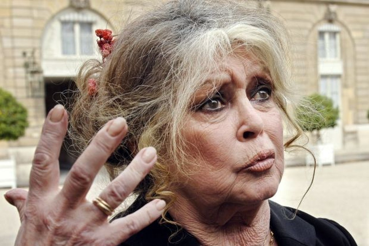 Brigitte Bardot wil Russische nationaliteit | Het Belang van Limburg Mobile