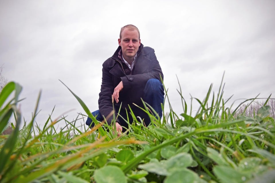 Sander Palmans van het Proef- en Vormingscentrum voor de Landbouw toont grasklaver.“Sommige boeren zijn er in het verleden op afgehaakt omdat ze de teelttechniek onvoldoende in de vingers hadden.” 