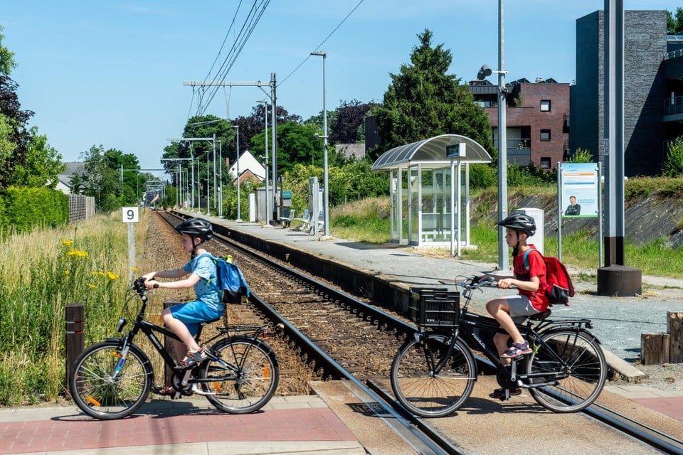 In Overpelt wordt het ‘station’ tijdelijk aangepast. Ooit verhuist deze halte wellicht naar het ziekenhuis. 