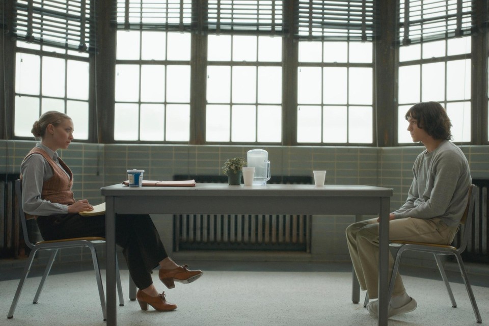 Amanda Seyfried as a psychiatry professor who appears in the ten-part series 