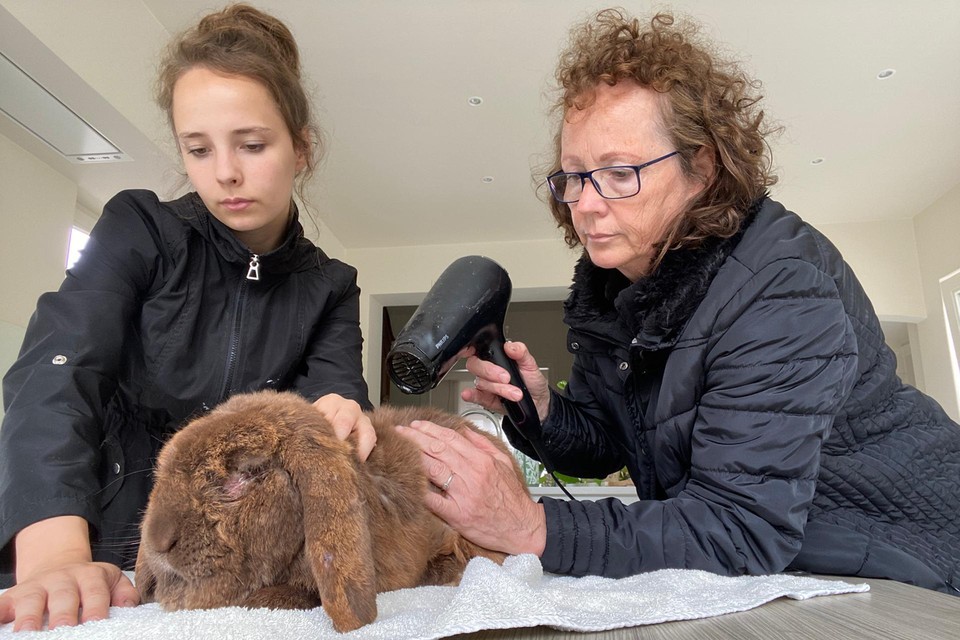 Sofie en haar mama Myriam droogden de geredde konijnen met de haardroger. 