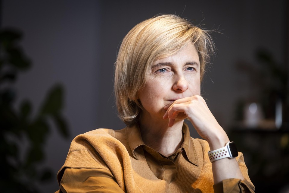 Vlaams minister van Werk Hilde Crevits (CD&amp;V) spreekt over een herstel. 