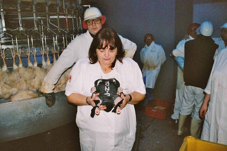 Voor de laatste kip hadden we een zwart kostuumpje gemaakt met daarop ‘einde’”, vertelt Agnes, hier op de foto op de laatste dag van Pingo Stevoort in 2003. 