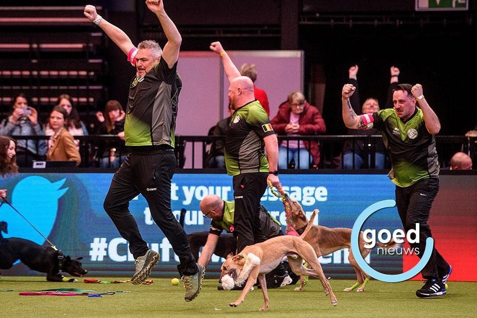 Als enige niet-Engelse team werden de Zonhovense Roadrunners voor de tweede keer op rij de winnaar bij de discipline flyball op Crufts, de grootste hondenshow ter wereld.