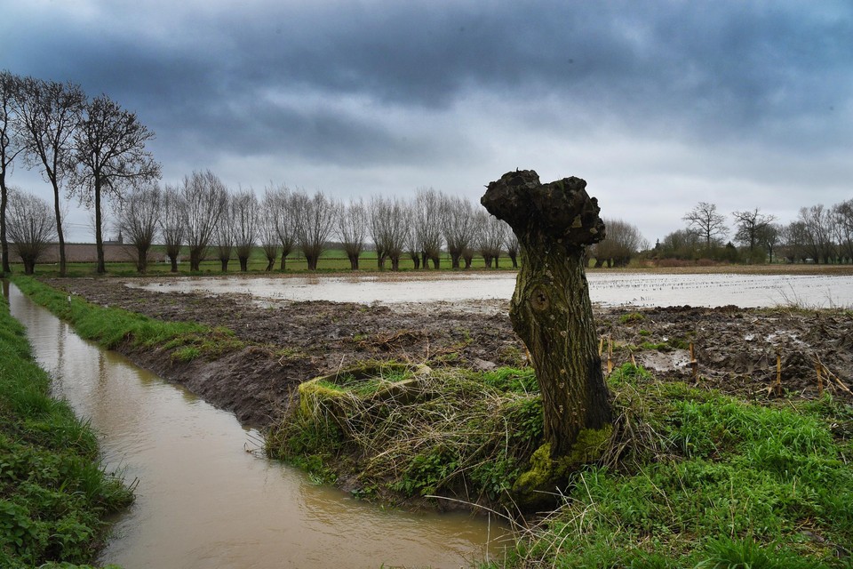Dankzij de voorbije natte maanden is het grondwaterpeil op de meeste plaatsen in Vlaanderen voor het eerst in jaren veelal normaal. In Limburg en de Kempen zijn de grondwaterlagen nog niet aangevuld. 