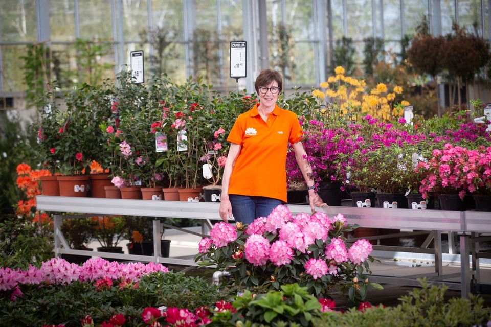 Marleen Theys van Floralux in Ham: “Veel planten zijn gedumpt of weggegeven, bijvullen wordt een intensief werk.” 