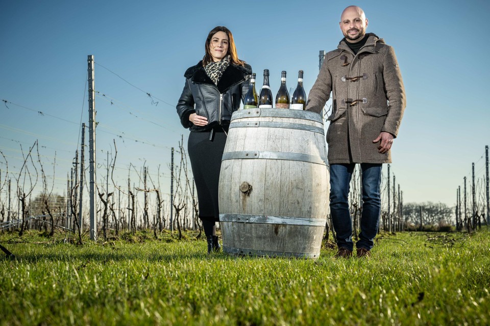 Fabio Celli runt met zijn vrouw Laura Vanbael het jonge wijndomein Montepertini in Bilzen. “Dankzij de uitmuntende weersomstandigheden liggen we nu eigenlijk een jaar voor op schema.”
