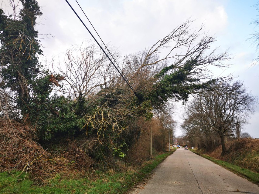 In Hoelbeek vielen bomen op de elektriciteitskabels.  