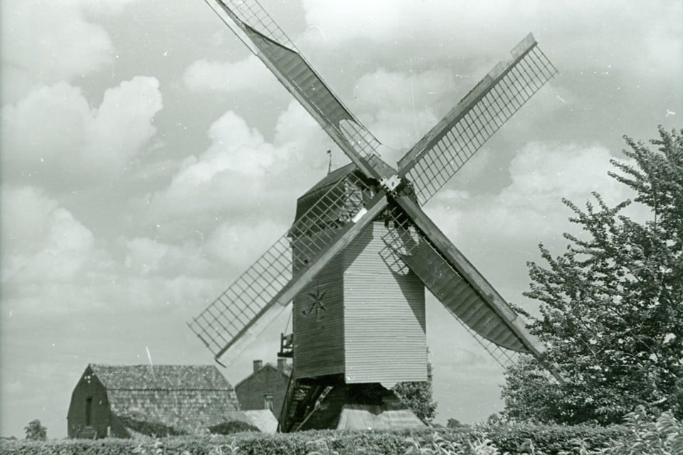 In 1901 werd de Stermolen vanuit Henegouwen overgebracht naar Eksel. Vandaag is het een van de laatst overgebleven kastmolens uit die streek.  