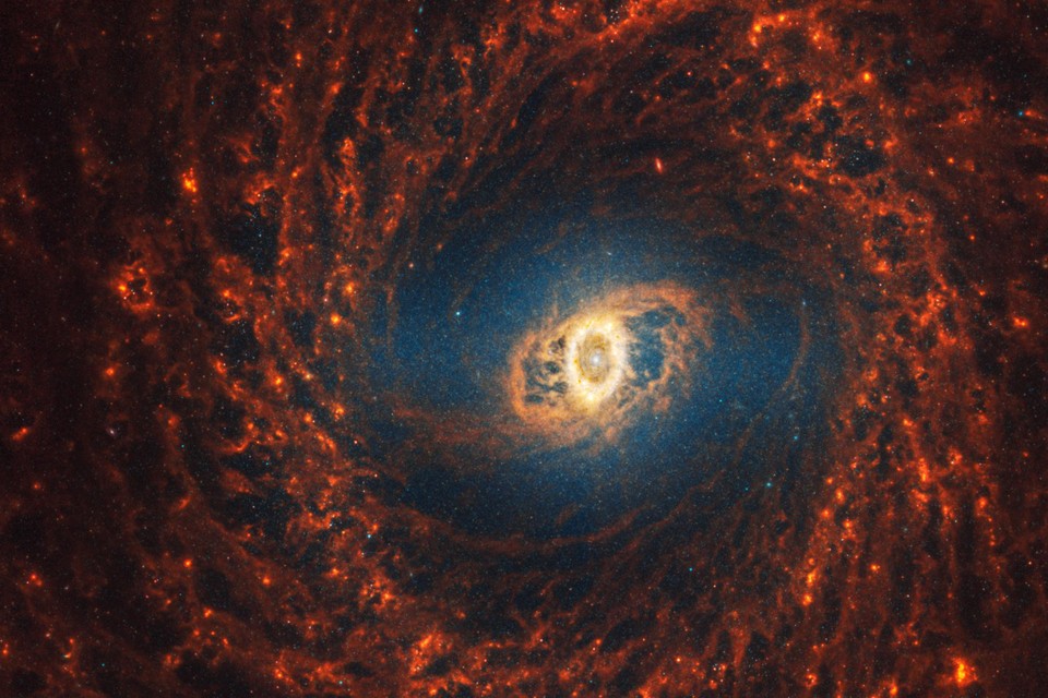 Spiraalstelsel NGC 3351