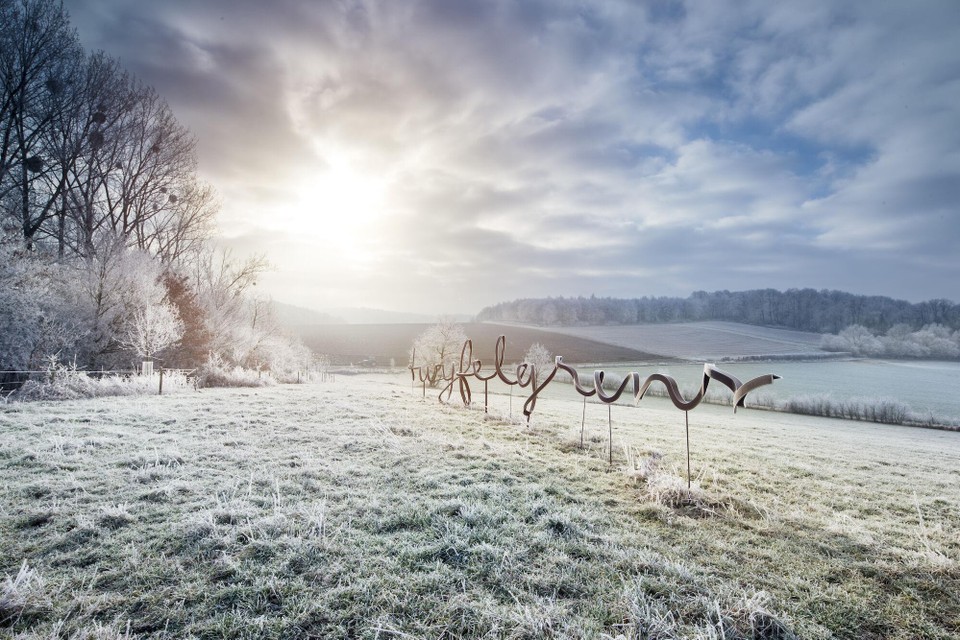 Duffel je van kop tot teen in en ontdek deze zeven winterwandelingen in Limburg.
