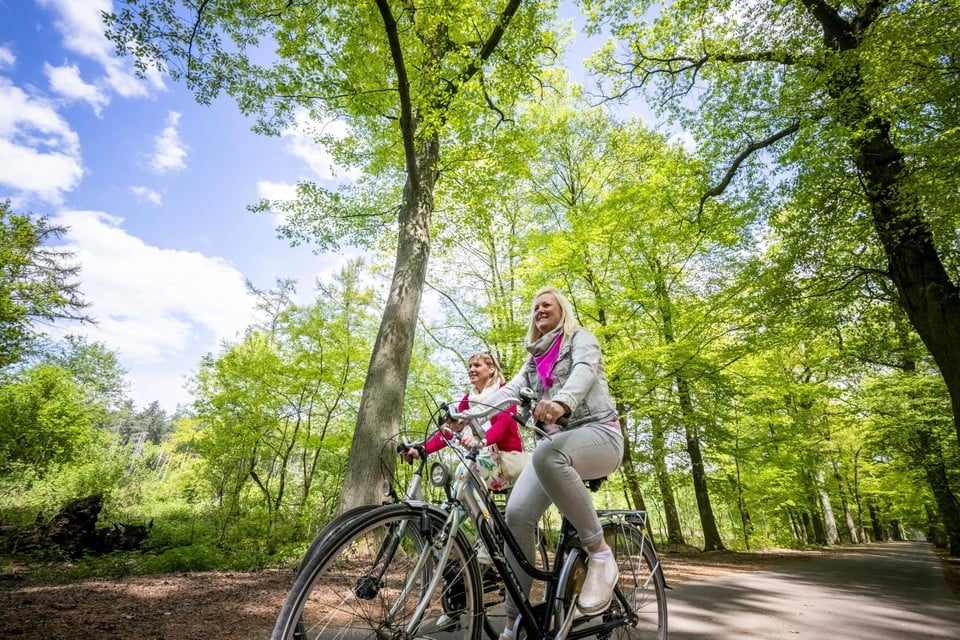 In de buurt van Averbode fietsen we door het groene decor van het Landschapspark de Merode. Foto Toerisme Vlaams-Brabant - Lander Loeckx