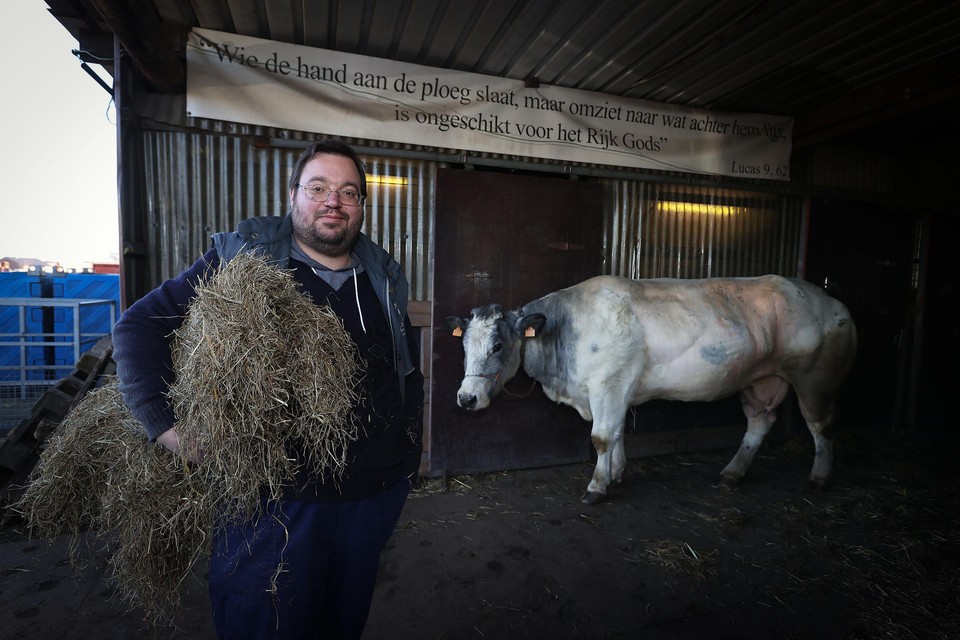 Elke maandag brengt Breese pastoor Roel Alders door bij zijn geliefde koeien op de hobbyboerderij van zijn ouders in Overpelt.