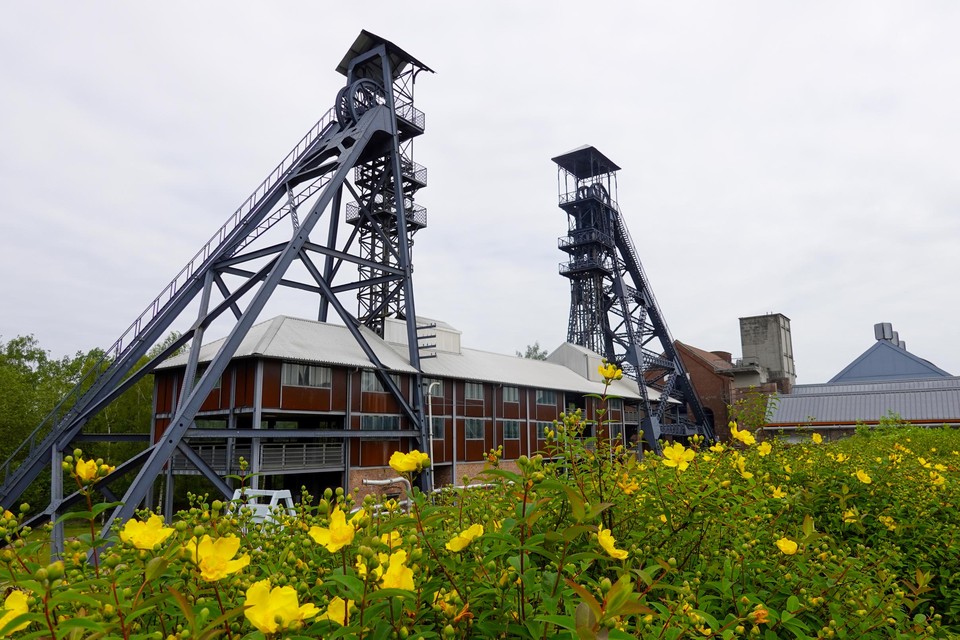 In de steenkoolmijn Bois du Cazier in Marcinelle kwamen op 8 augustus 1956 262 mijnwerkers om het leven.  