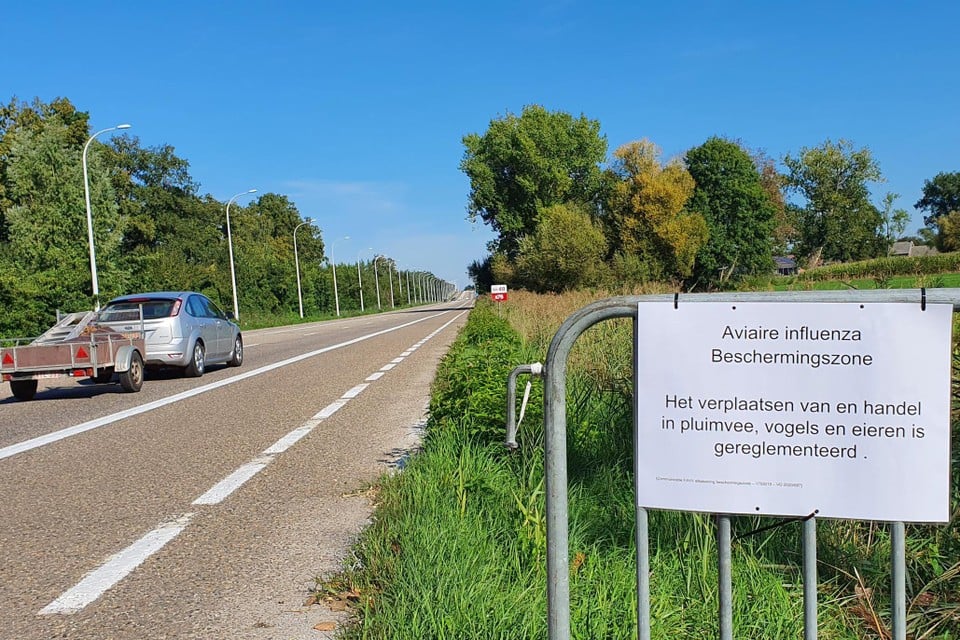 Op de toegangswegen, zoals hier op de N 76 en de grens van Bocholt met Bree, staan nadars met info over de vogelgriep.  