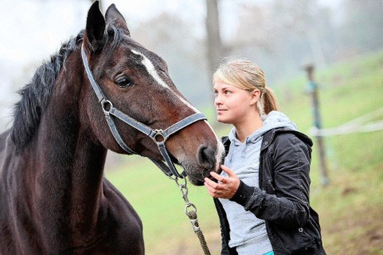 storm Beweging erven Neem altijd veearts mee voor de keuring bij aankoop paard" | Het Belang van  Limburg Mobile