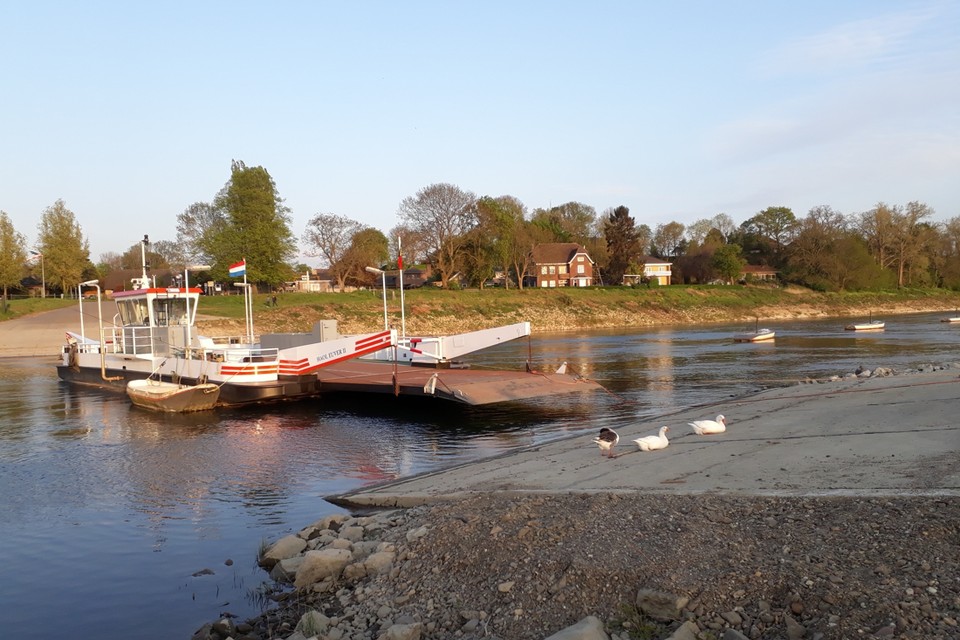 De zware roeiboot die de veermannen elke dag naar hun pont brengt op de Maas, werd uit de rivier gejat en vermoedelijk op een trailer vervoerd. 