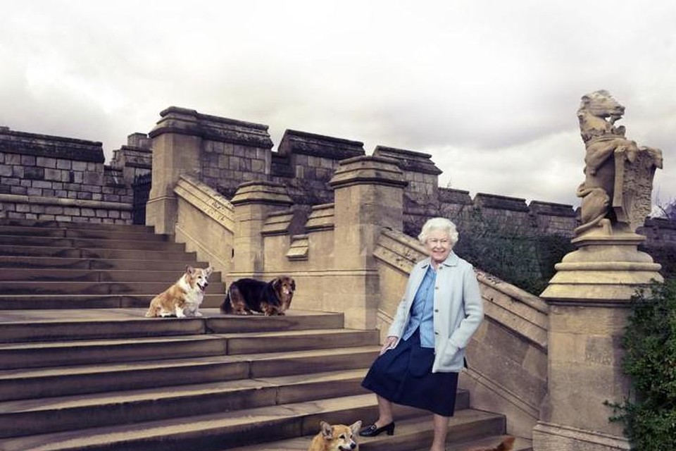 De Queen op haar 90ste verjaardag met haar honden, waaronder dorgi Vulcan (rechtsboven) 
