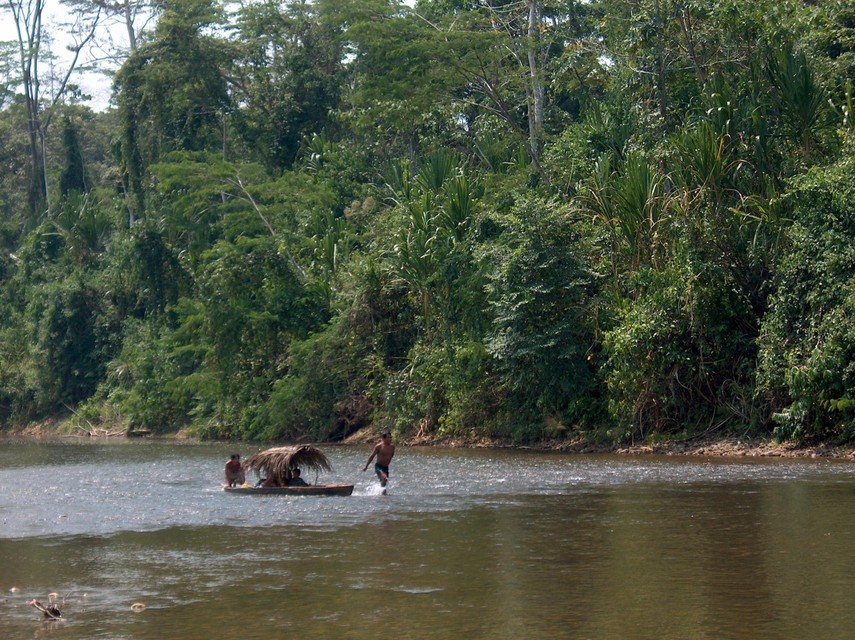 Een rivier in de buurt van Panguana