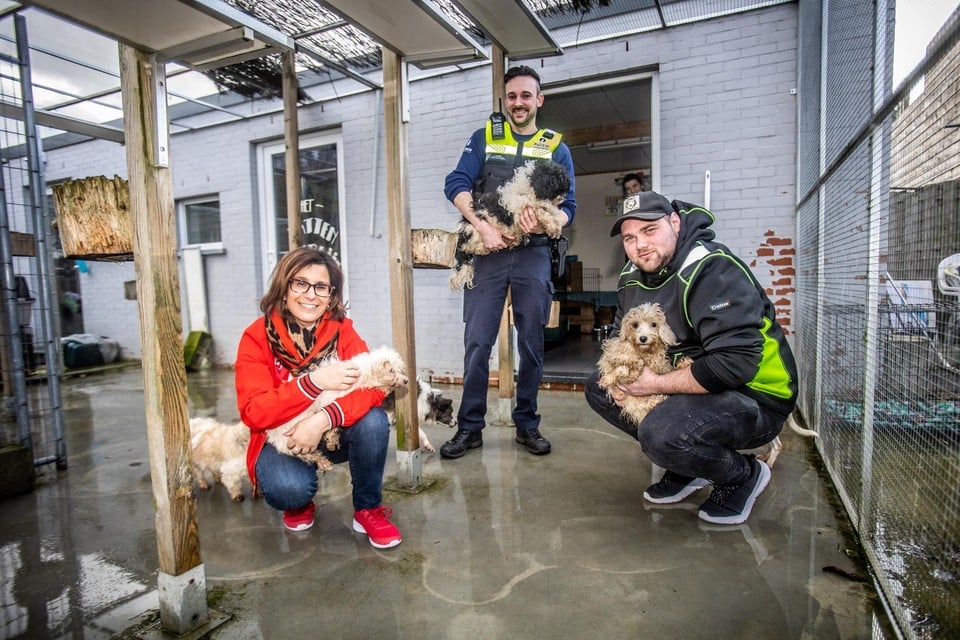 Maria Ricciardelli, Matthieu Helleputte van Animal Rescue Service vzw en inspecteur Serge Jaeken van de dierenpolitie Carma zijn de bezielers van het initiatief. 