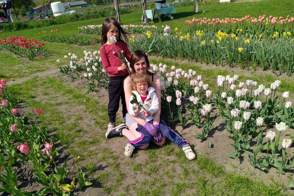 In haar pluktuin biedt Silvy momenteel twintig soorten tulpen en narcissen aan. Vanaf juni heropent de tuin met zomerbloemen. 