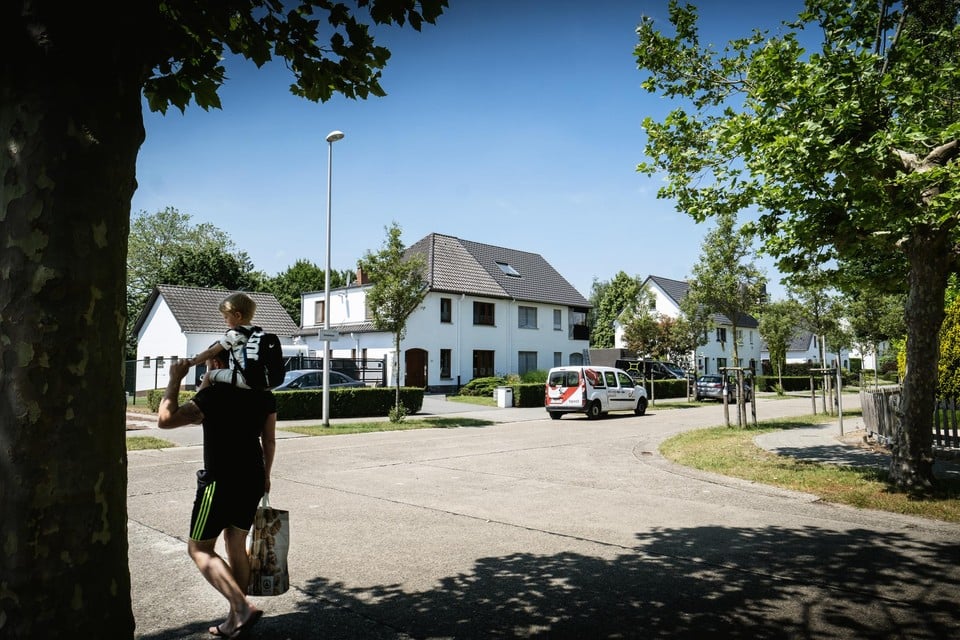 De witte wijk in Hasselt is één van de drie wijken die kunnen meedoen aan de eerste renovatiegolf. 