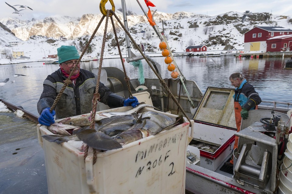 De Britten stuurden met de Brexit aan op toegang tot de kabeljauwrijke Noorse visgronden, zoals de Lofoten (foto). Daarvoor sloten ze een deal met de Noren. 