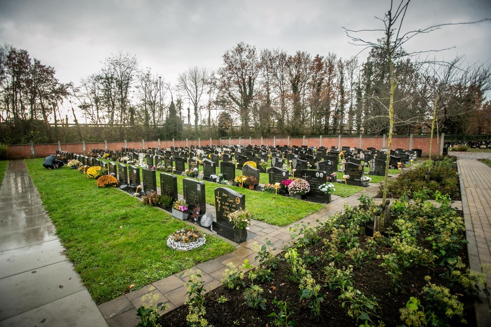 Het kerkhof in Beringen-Centrum: 400 van de 700 graven hebben geen concessie. 