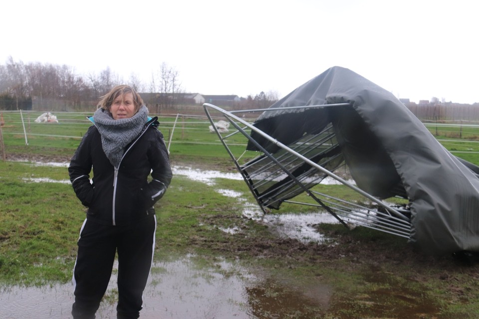 De storm zorgde voor heel wat schade op de zorgboerderij van Polly-Anne De Graeve. 