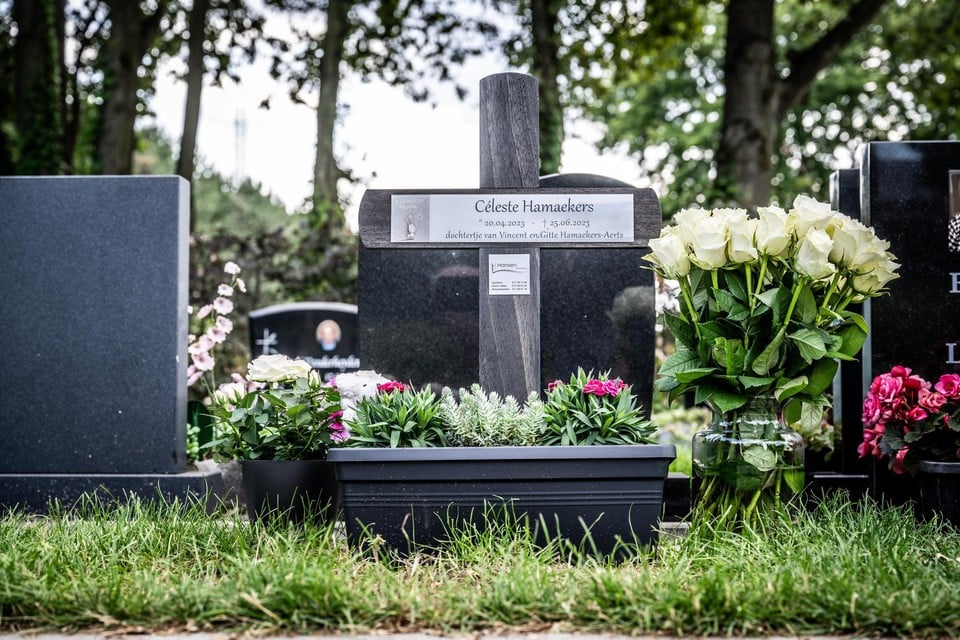 “We hebben een nieuw, en groter, boeket geplaatst aan haar graf”, zegt papa Vincent Hamaekers.