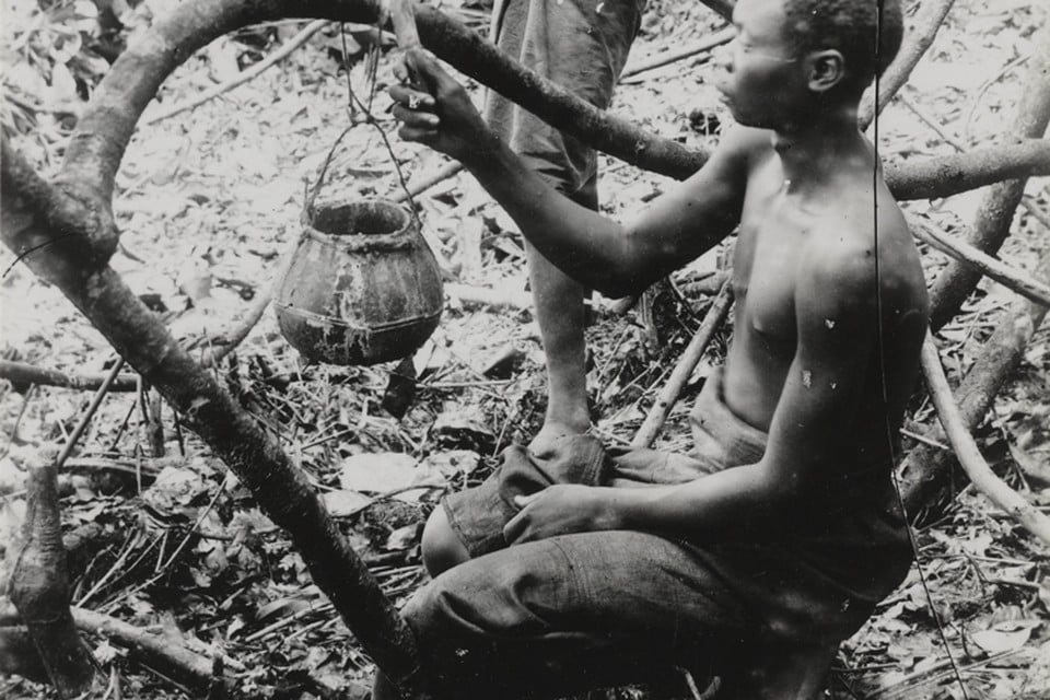 In Congo waren er geen rubberbomen, maar rubberlianen. Wat minder rubber opbracht. De dorpelingen moesten steeds dieper het woud in om rubber te oogsten. Als een dorp zijn quotum niet haalde werden strafexpedities georganiseerd. Om hun geschoten kogels te verantwoorden, kapten de soldaten de handen af van dorpelingen als bewijs voor een geschoten kogel. 