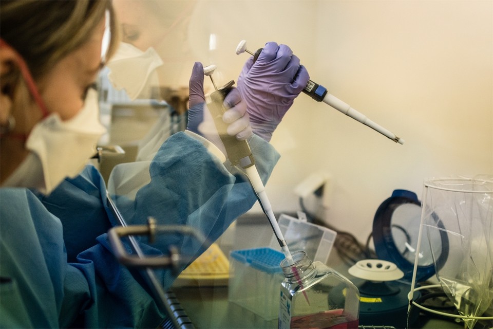 Momenteel leggen labs de laatste hand aan een betrouwbare analysetechniek om de antilichamen in het bloed op te sporen. 
