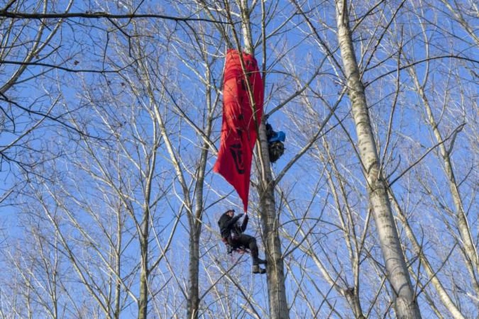 Actievoerders willen langere tijd verblijven in het Sterrebos om de dreigende bomenkap tegen te houden. 
