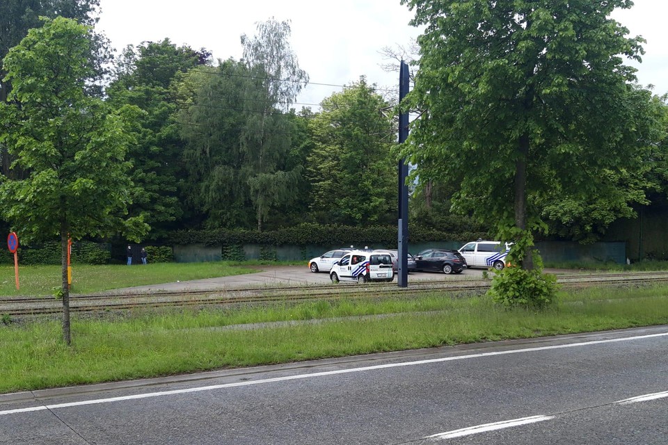 Het Grossenknetenpark in Evergem wordt uitgekamd. 