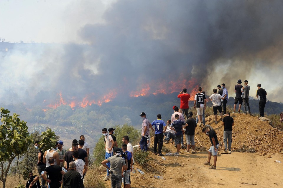 Branden in het noorden van Algerije 