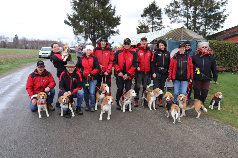 Speurvereniging Beagle@Work zakte met negen leden af naar Bree om mee te wandelen voor de Dierenvoedselbank.