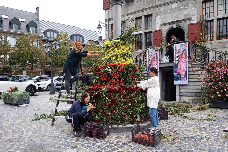 Ruim 8.000 dahlia’s werden er verwerkt in de kleurrijke bloemencreatie aan het oude stadhuis in Bilzen.  