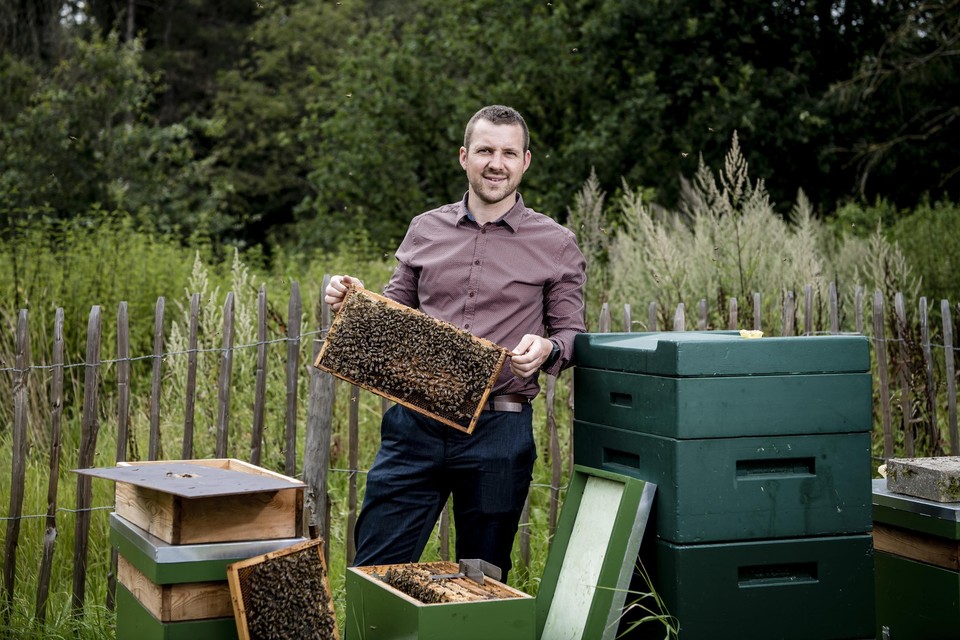 Imker Wim Tollenaers: “Toch gaat het niet beter met de bijen, hun grootste vijand blijft de varroamijt.” 