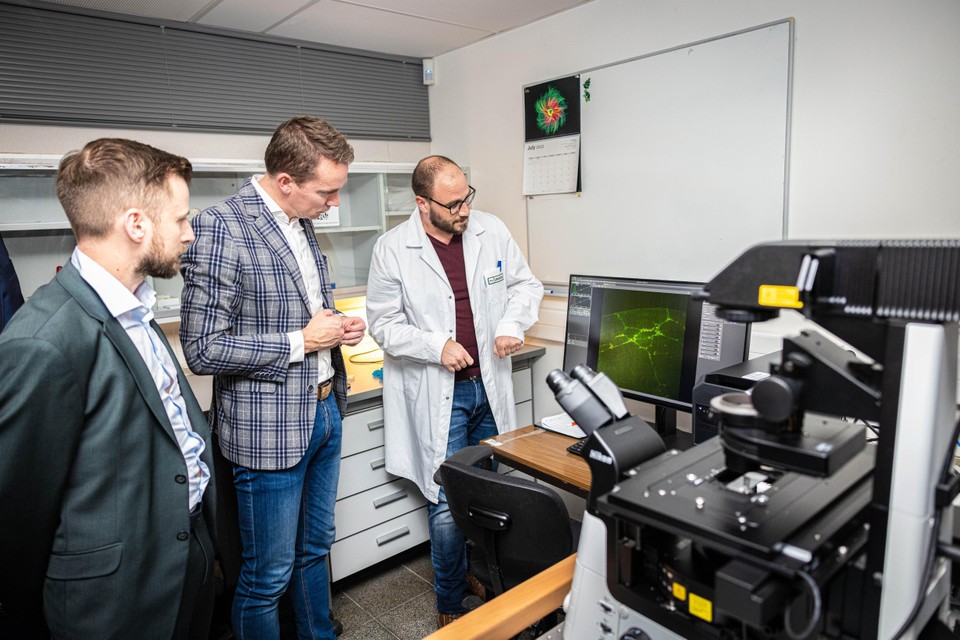 De Universiteit Hasselt investeert 1,33 miljoen euro in een geavanceerde lichtmicroscoop voor biomedisch onderzoek.  