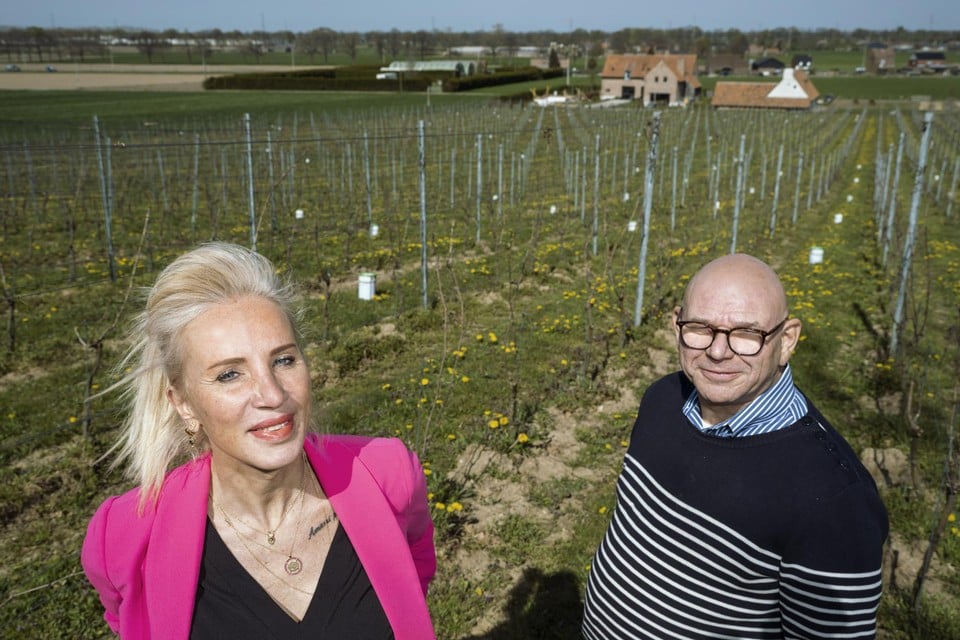 Eigenares Ilse Swennen en oenoloog Jos Mechelmans op het wijndomein op de Steenberg. Dat wordt volgend jaar een van de grootste in Limburg. 