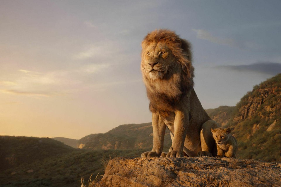Volgens Sean Bailey, voorzitter van Walt Disney Studios, is er de stiekeme hoop dat The Lion King de komende decennia uitgroeit tot een even groot succesverhaal als Star Wars.