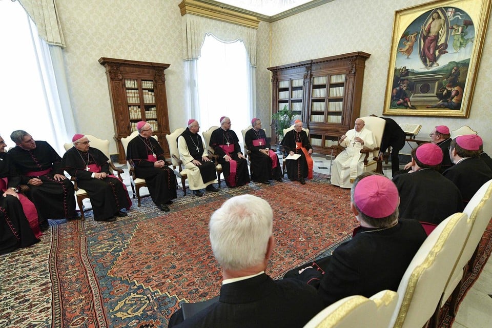 Bisschop Patrick Hoogmartens met zijn Belgische collega’s bij de paus. 