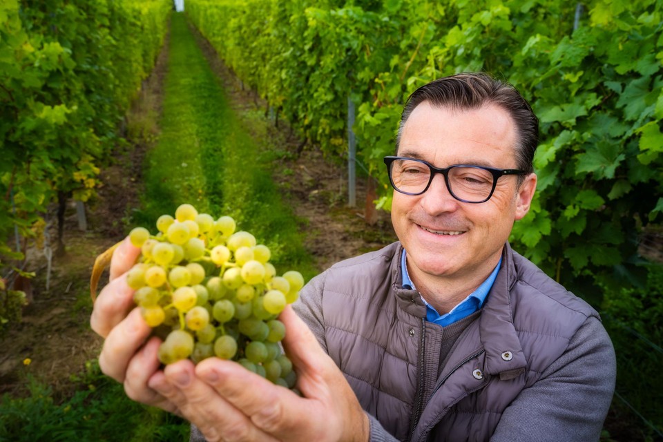 Yves Cuvelier maakt geen alledaagse wijnen. 