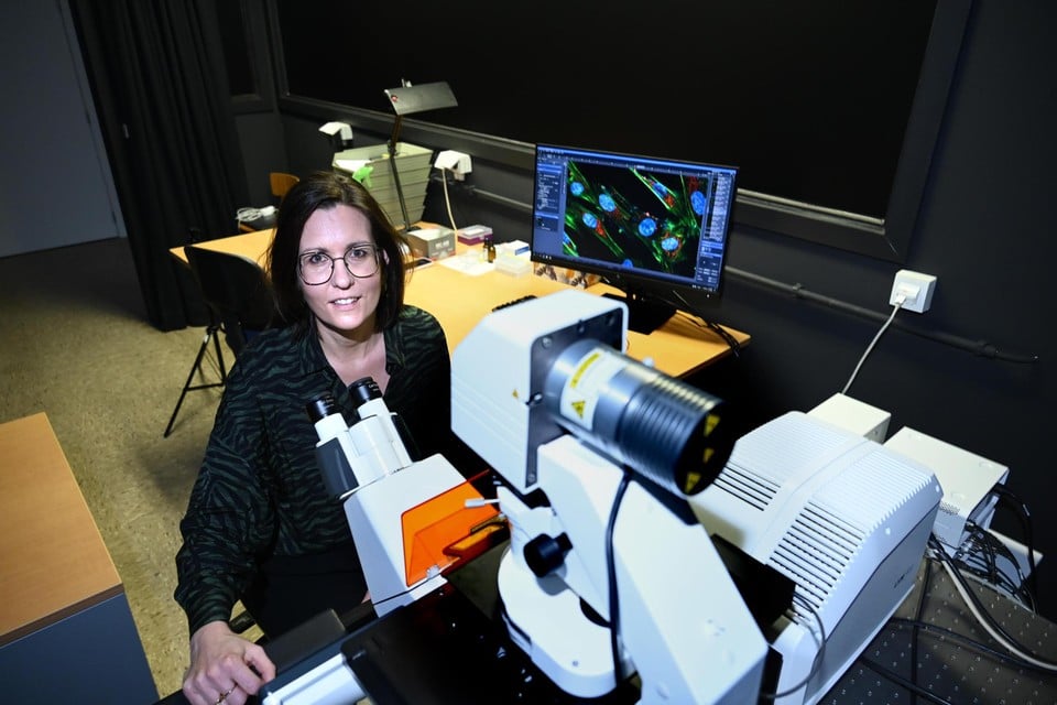Professor dr. Karen Smeets onderzoekt welke schade micro- en nanoplastics aanrichten in ons lichaam.